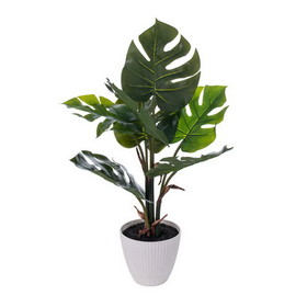 Vickerman 18" Green Monstera Plant x7 in White Pot