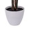Vickerman TB230137 37" Green Monstera Plant x8 in White Pot, Price/each