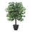 Vickerman TBU0140-RG 4' Ficus Bush in Gray Plastic Pot