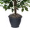 Vickerman TBU0140-RG 4' Ficus Bush in Gray Plastic Pot