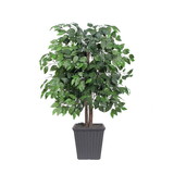 Vickerman TBU0140-SG 4' Ficus Bush in Gray Square Plastic Pot