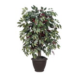 Vickerman TBU0340-RB 4' Capensia Bush in Plastic Container