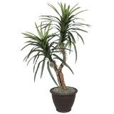 Vickerman TBU1140-RB 4' Marginata Bush in Plastic Container