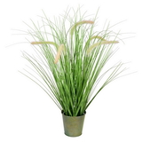 Vickerman Green Cattail Grass In Iron Pot