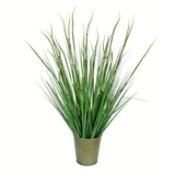 Vickerman Green Reed Grass In Iron Pot