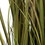 Vickerman TD190648 48" Brown Cattail Grass in Iron Pot