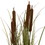 Vickerman TD190648 48" Brown Cattail Grass in Iron Pot