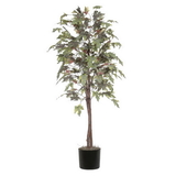 Vickerman 6' Frosted Maple tree