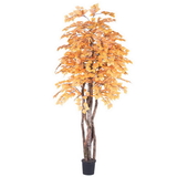 Vickerman 6' Golden Aspen Executive Tree