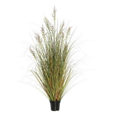 Vickerman Green and Brown Grass in Pot