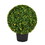 Vickerman TP171320LED 20" Boxwood Ball in Pot UV 70WW LED