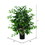 Vickerman TXX0140-06 4' Ficus Extra Full