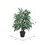 Vickerman TXX2840 4' Mango Extra Full