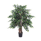 Vickerman Mini Ficus Extra Full
