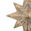 Vickerman X222408 14.5" LED Gold 8Pt Star Tree Topper