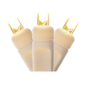 Vickerman 50 Warm White Twinkle Wide Angle LED Light on White Wire 25' Light Strand