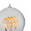 Vickerman X17PS601 PS60 Warm White LED Filament E26 Bulb