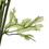 Vickerman FQ190204 18" Light Green Ranunculus Bush