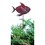 Village Wrought Iron RGS-80 Tropical Fish - Rusted Garden Stake, Price/Each