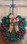 Village Wrought Iron WRE-B-85 Snowflake - Wreath Hanger, Price/Each