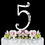 Elegance by Carbonneau 5-Flower-Silver French Flower ~ Swarovski Crystal Wedding Cake Topper ~ Silver Number 5
