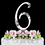 Elegance by Carbonneau 6-Flower-Silver French Flower ~ Swarovski Crystal Wedding Cake Topper ~ Silver Number 6