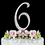 Elegance by Carbonneau 6-Sparkle-Silver Sparkle ~ Swarovski Crystal Wedding Cake Topper ~ Silver Number 6