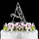 Elegance by Carbonneau A-Roman Romanesque ~ Swarovski Crystal Wedding Cake Topper ~ Letter A
