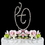 Elegance by Carbonneau Ampersand-Rennaisance-Silver Renaissance ~ Swarovski Crystal Wedding Cake Topper ~ Silver Ampersand &