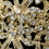Elegance by Carbonneau B-910-LG-CL Light Gold Clear Rhinestone Heart Cuff Bracelet