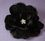 Elegance by Carbonneau BQ-4908-Black Black Bold Bridal Flower BQ 4908