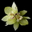 Elegance by Carbonneau Clip-400-Green Realistic Looking Bridal Orchid Flower Hair Clip - Clip 400 Mint Green