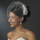 Elegance by Carbonneau Clip-404 Elegant Bridal Hair Clip Pair - Clip 404 with Brooch Pin