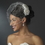 Elegance by Carbonneau Clip-404 Elegant Bridal Hair Clip Pair - Clip 404 with Brooch Pin
