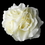 Elegance by Carbonneau Clip-419-Cream Garden Rose Cluster Flower Hair Clip 419 Cream, Ivory or White