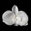 Elegance by Carbonneau Clip-437-Ivory Ivory Pearls and Soft Petals Hair Clip 437 or Clip Brooch