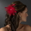 Elegance by Carbonneau clip-442-red Bridal Feather Fascinator Hair Clip Brooch 442 ( Red, Black, Ivory, White or Cafe)