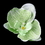 Elegance by Carbonneau Clip-9945-Green Green Orchid Hair Flower Clip 9945