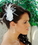 Elegance by Carbonneau Comb-1533 Feather Fascinator White or Ivory Comb 1533