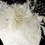 Elegance by Carbonneau Comb-3027 Emroidered Feather Flower Bridal Hat Comb with Russian Tulle Accent in White or Ivory 3027