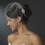 Elegance by Carbonneau Comb-8117-S Swarovski Crystal Bridal Comb 8117
