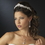 Elegance by Carbonneau E-8676-AS-Clear Silver Clear CZ Dangle Tear Drop & Round Crystal Dangle Bridal Earrings 8676