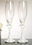 Elegance by Carbonneau FL-420 Bride & Groom Wedding Toasting Champagne Flutes FL 420