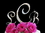 Elegance by Carbonneau Flower-Monogram French Flower ~ Crystal Accented Monogram Cake Topper Set