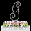 Elegance by Carbonneau G-Renaissance-Silver Renaissance ~ Swarovski Crystal Wedding Cake Topper ~ Silver Letter G