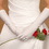 Elegance by Carbonneau GL-ME Formal or Bridal Gloves Style GLME