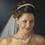 Elegance by Carbonneau HP-8405-Silver Silver Plated Swarovski Rhinestone Bridal Headband - HP 8405