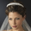 Elegance by Carbonneau HP-8433-S-AB Silver Clear & AB Double Layer Swarovski Crystal Bridal Headband Headpiece 8433