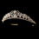Elegance by Carbonneau HP-8439-G-Clear Gold Clear Crystal & Rhinestone Tiara Headpiece 8439
