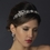 Elegance by Carbonneau HP-918-AS-White Antique Silver Clear Crystal & White Pearl Side Floral Accented Headband Headpiece 918